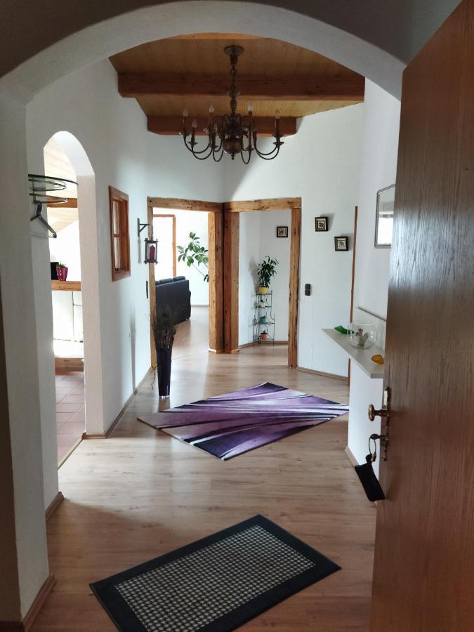 Aussergewoehnliche Atelierferienwohnung Mit Balkon An Der Donau Winzer Luaran gambar