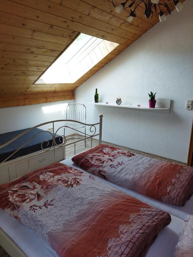 Aussergewoehnliche Atelierferienwohnung Mit Balkon An Der Donau Winzer Luaran gambar