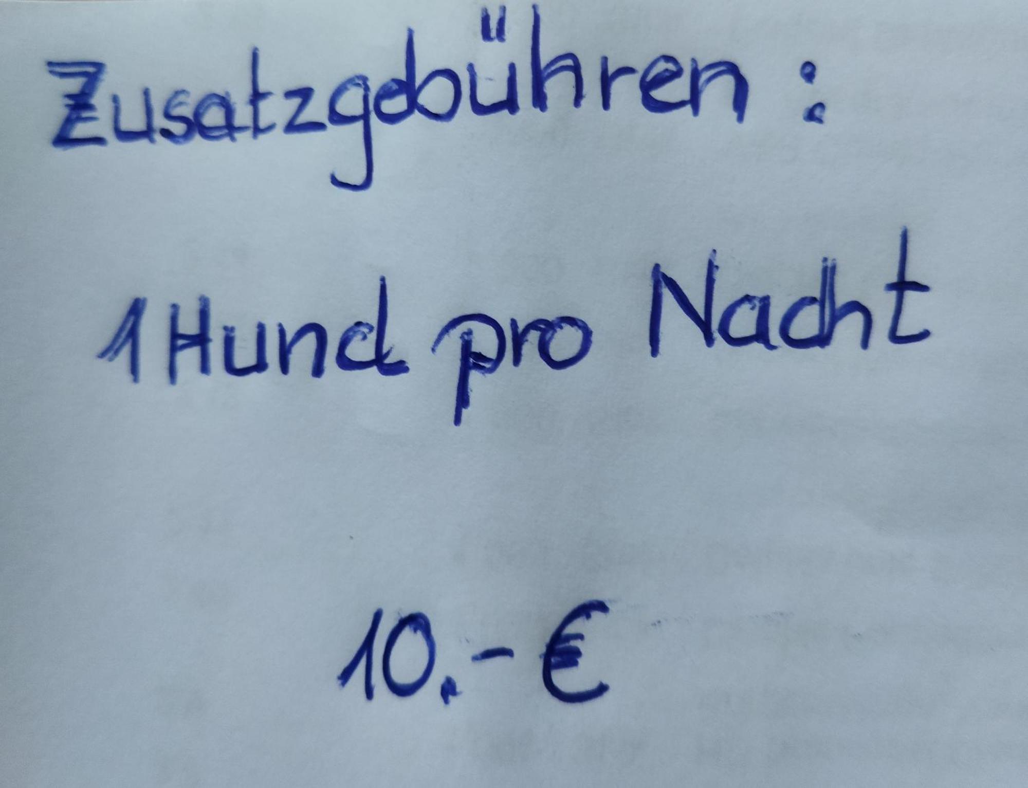 Aussergewoehnliche Atelierferienwohnung Mit Balkon An Der Donau Winzer Luaran gambar